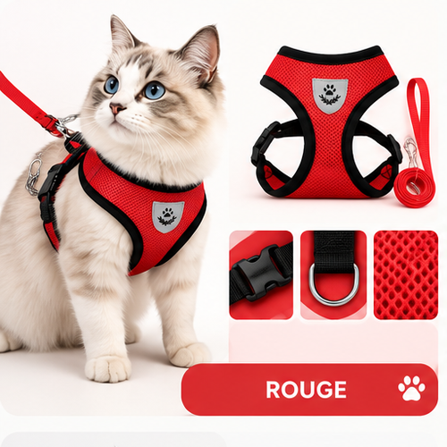 Harnais & laisse pour chat Mimi Wild