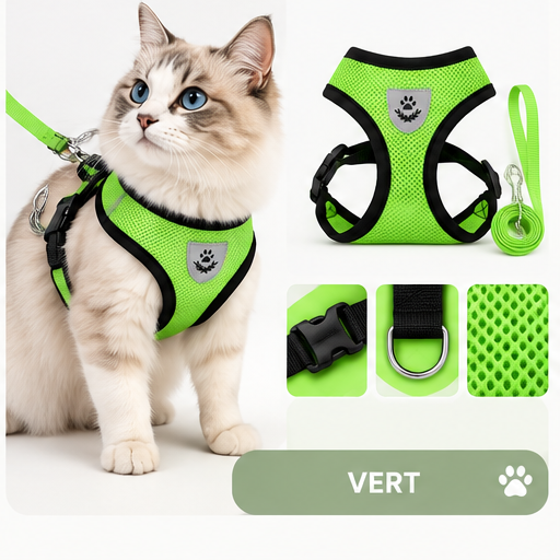 Harnais & laisse pour chat Mimi Wild